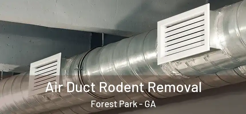 Air Duct Rodent Removal Forest Park - GA