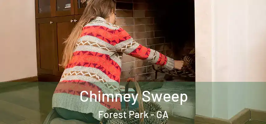  Chimney Sweep Forest Park - GA