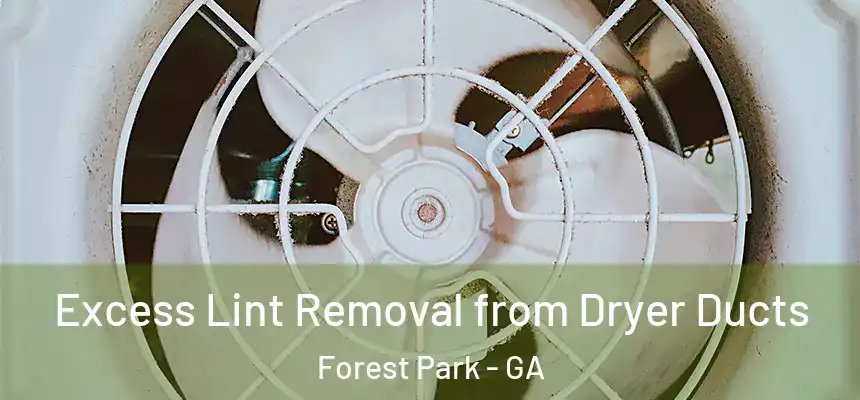 Excess Lint Removal from Dryer Ducts Forest Park - GA