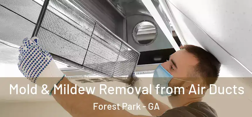  Mold & Mildew Removal from Air Ducts Forest Park - GA