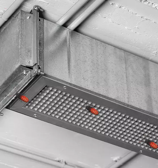 About Air Duct Cockroach Removal in Forest Park, GA