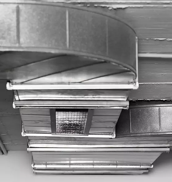 Professional Air Duct Pet Hair Removal in Forest Park, GA