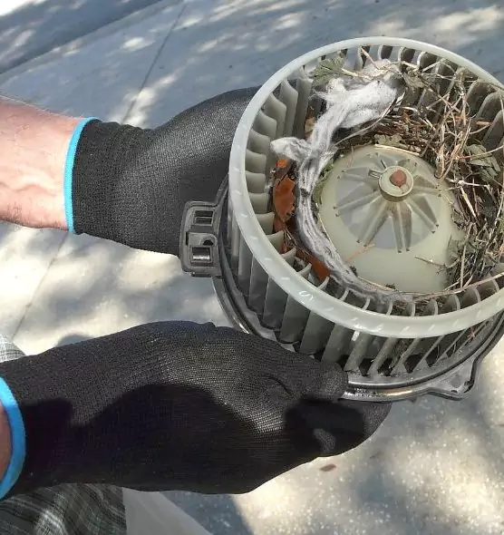 About Air Duct Rat Removal in Forest Park, GA