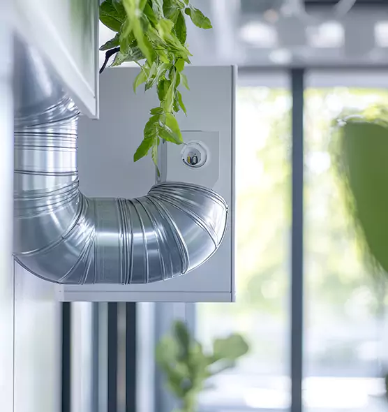 Professional Eco-Safe Dryer Vent Cleaning in Forest Park, GA