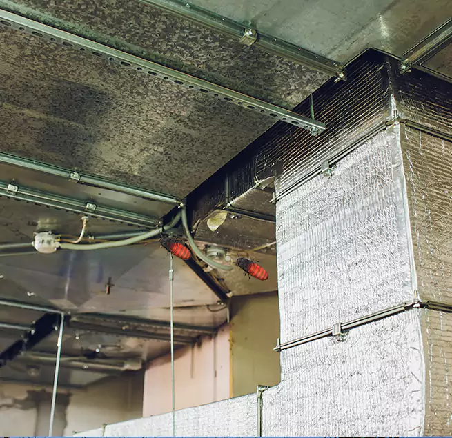 Why Homeowners & Businesses Trust Us in Forest Park, GA?