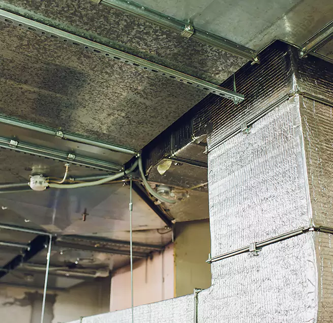 Why Homeowners & Businesses Trust Us in Forest Park, GA?